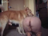 A chunky ass and a fine dog